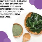 Bluebonnet Nutrition Atlantic Sea Kelp Iodine 225 mcg - Organically Grown U.S. Sea Kelp - Non-GMO Project Verified, Gluten-Free, Soy-Free, Dairy-Free - 120 Vegetable Capsules