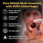 Better Alt Pure Himalayan Shilajit Gummies with Shilajit |High Potency Gold Grade| 60 Gummies for Energy Boost & Immune Support, 75 Percent + Fulvic Acid| Travel Friendly Mango Flavor