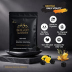 13-in-1 Shilajit Gummies with KSM-66® Ashwagandha | 4000 mg Himalayan Shilajit Extract (20:1), Choline & Botanicals | Sugar-Free, Vegan | Energy, Focus & Daily Vitality Support for Men & Women