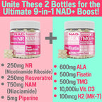 SHIZAM TMG Betaine Alpha Lipoic Acid ALA D3 Fisetin Gummies, Tri-Methylglycine trimethylglycine R-Alpha NAD+ Plus + HCL Supplements, Mitochondrial Senolytic Activator, NR Capsules Powder 600mg 1000mg