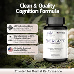 Energized Lions Mane Supplement Capsules (120ct),Brain Supplements for Memory and Focus, Nootropic for Brain Fog Relief Made in USA,30% Polysaccharides,Natural Brain Health Support