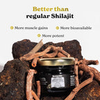 Better Alt Pure Himalayan Shilajit Gold+(30gm)|Enhances Recovery & Boosts Strength|16,000 ft Sourced Blend with Ashwagandha, Safed Musli,Gokshura|Shilajit gold for men & women|Vegan & Lab Tested-600mg
