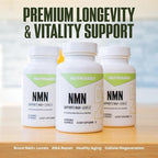 NutraBio NMN - NAD Supplement, Longevity Support, Boost NAD Levels, Increase Cellular Energy, Brain Health, Healthy Aging- 60 Servings- 60 Capsules