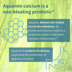 Igennus Probiotics & Prebiotic, Lactobacillus Acidophilus & Bifidobacterium, Live Cultures+ Lab4, Guaranteed 25 Billion CFU, for Women & Men, Non-Bloating Gut Health Support, Non-GMO, 6 x 30 Capsules