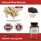 DailyNutra KSM-66 Ashwagandha 600mg Organic Root Extract - High Potency Supplement with 5% Withanolides | Supports Relaxation, Focus, & Energy (270 Capsules)