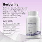 Theralogix Berberine Enhanced Absorption - 90-Day Supply - Made with Berberine Phytosome to Help Support Healthy Metabolism & Hormone Balance* - NSF Certified - 90 Capsules