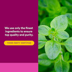 Natural Factors, Oil of Oregano 180 mg, Helps Maintain Good Health with Extra Virgin Olive Oil, 30 softgels (30 servings)