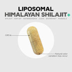Codeage Liposomal Himalayan Shilajit+ Supplement - 500 mg Shilajit, KSM-66 Ashwagandha, CoQ10, Fulvic Ionic Minerals, Calcium, Magnesium, BioPerine - Liposomal Delivery - Non-GMO - 60 Capsules