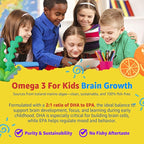 (2 Pack) Kids Multivitamin Gummies with Iron, Sugar Free, Kids Daily Vitamins + Probiotics, Algae Omega 3 (EPA/DHA), A, C, D, Methyl B12, Folate, B6, Zinc, Biotin, for Healthy Growth, Immune Support