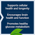 Life Extension Senolytic Activator with Quercetin & Fisetin - For Immune Support, Anti-Aging & Longevity - 36 Vegetarian Capsules & 30 Vegetarian Capsules of Bio-Fisetin for Cellular Health & Cognitive Health