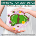 VEYNE Milk Thistle Supplement 80% Silymarin (240mg Active) with Dandelion Root Extract 10:1 & Burdock Root 20:1 – Liver Support Supplement for Daily Wellness – 60 Capsules (30 Day Supply)