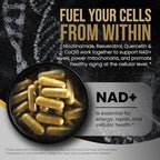 DLNIA Liposomal NAD+ Supplement & NMN Alternative | Nicotinamide Riboside (NR) 1258 mg with Resveratrol, Quercetin, Pterostilbene & CoQ10-12-Nutrient High-Absorption Cellular Energy & Healthy Aging