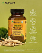 USDA Organic KSM-66 Ashwagandha 600mg with Organic L-Theanine, Turmeric & Black Pepper, Supports Calm, Focus, Relaxation & Overall Well-Being, 60 Capsules