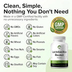 Lactobacillus Reuteri Probiotic 240 Tablets (4 Month Supply) – Researched Strain LR08 – 3 Billion CFU – Digestive Health & Gut Comfort – GMP Certified (240, Lactobacillus Reuteri)