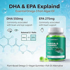 Vegan Omega 3 Gummies 1000mg with Coq 10, Vitamin D3,E,C,Omega 3 Fish Oil Alternative for Adults, Plant Based DHA 550mg & EPA 275mg for Brain, Mobility, Eye, Sugar Free, 60 Count