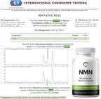 NMN 500mg Capsules 99.3% Purity | Nicotinamide Mononucleotide 30 Servings | Supports DNA Repair & Cognitive Function | Vegetarian Friendly Gluten Free Non-GMO 3rd Party Tested (30 Capsules, NMN)