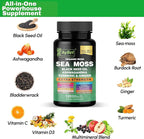 Organic Irish Sea Moss Capsules 120 Count –16 in 1 Sea Moss Supplement with Black Seed Oil, Ashwagandha, Turmeric & Ginger, Bladderwrack & Burdock Root, Vitamin D3 –Organic, Vegan, Halal, Non-GMO