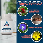 Ayush Herbs Carditone - Natural Heart Health Supplement for Women & Men, BP Formula, Holistic Heart Supplement with Rauwolfia, Arjuna, Calcium, and Magnesium - 60 Vegetarian Caplets (2 Count)