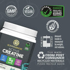 Creatine Monohydrate Powder Micronized PreWorkout Recovery Supplement | Support Muscle Building Strength Training Cognition | Vegan & Keto Friendly Easily Mixes (60 Serving) Unflavored Active Creatine