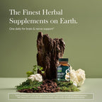 Gaia Herbs Lion's Mane Mushroom - Brain Health Support* - 40 Vegan Capsules (40 Servings)