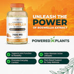 Boswellia Serrata Extract Joint Support Supplement by Powered by Plants – 65% High Potency Boswellic Acids with BioPerine – Supports Immunity, Mobility & Flexibility – 120 Vegan Capsules