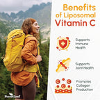 ForestLeaf Liposomal Vitamin C 1400mg Capsules | High Dose Vitamin C Liposomal Supplement w Coconut Oil Fatty Acids | Fast Absorption | Immune Support, Antioxidant, Collagen Production | 240 Vegan Cap