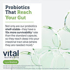Hyperbiotics Vital Nutrients Pro-15 Advanced Probiotics for Women and Men | 15 Strains + Kiwifruit | Clinically Studied Daily Probiotics for Digestive Health, Gas, & Bloating | 60 Vegan Tablets