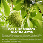 LeafLea 240 Premium Soursop Leaf Tea Bags, 100% Dried Soursop Graviola Leaves with a Smooth, Earthy Flavor, Hoja Guanabana Leaf Herbal Tea Bags for Natural Digestion Support, No Caffeine, Sugar-Free