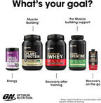 Optimum Nutrition Amino Energy - Pre Workout with Green Tea, BCAA, Amino Acids, Keto Friendly, Green Coffee Extract, Energy Powder - Fruit Fusion, 9.5 Ounce, 30 Servings (Packaging May Vary)