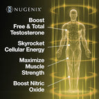 Nugenix Total-T2 - Testosterone Booster and Nitric Oxide Booster for Men, Tesnor, S7, ElevATP, Tongkat, Citrulline, Nitric Oxide and Testosterone Supplement for Men (180 Count)