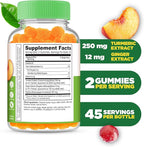 Lifeable Turmeric Curcumin with Ginger & Black Pepper Extract – Great Tasting Natural Flavor Gummy –Vegetarian GMO-Free Supplement – 90 Gummies
