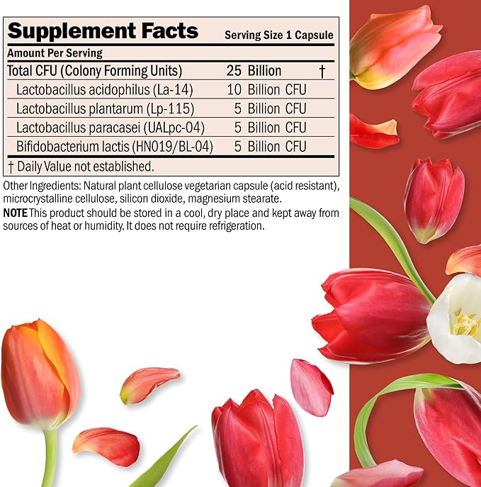 ANDREW LESSMAN Ultimate Friendly Flora Probiotic 240 Capsules - 25 Billion CFU, Comprehensive Blend of Five Probiotic Strains, Powerful Immune and Digestive Support. Probiotics for Women or Men