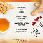 Nature's Base Turmeric and Ginger Supplement - with Curcumin, Apple Cider Vinegar & BioPerine Black Pepper Extract - 95% Curcuminoids - 120 Capsules