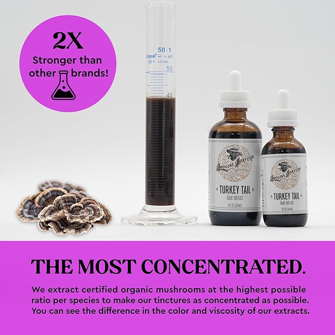Hodgins Harvest Organic Turkey Tail Mushroom Tincture - Extra Concentrated Dual Extract Antioxidant-Rich Mushroom Drops Supplement for Overall Wellness - Made in USA - 4 fl oz
