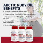 Arctic Ruby Oil - Omega 3 Supplement with Astaxanthin 2mg - Contains Essential Fatty Acids & Antioxidants - Supports Heart, Brain, Eye, Skin, Joint & Immune Health - 60 Softgels (3 Pack)