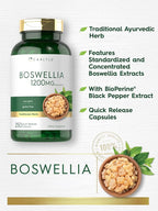 Carlyle Boswellia Extract Capsules | 250 Count | Boswellia Serrata Complex with Black Pepper Extract | Non-GMO, Gluten Free Supplement