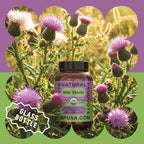 Complete Natural Products Pure Organic Milk Thistle Capsules - 500 mg Silymarin Powder 100 Pills