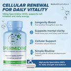 MaxLife Naturals Pure Spermidine Supplement with Trihydrochloride 3HCL 10mg - 120 Capsules Spermidine Supplements for Men and Women, Brain Focus & Cellular Vitality, Cell Renewal Support, Made in USA
