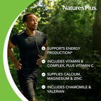 NaturesPlus Mega-Stress Complex, Sustained Release - 90 Vegetarian Tablets - B Complex, Vitamin C Stress Relief Supplement, Chamomile & Herbs for Natural Calm - Gluten-Free - 90 Servings