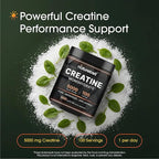 NatureBell Creatine Monohydrate Powder - 500g - Micronized Powder - Delivers 5,000mg Creatine Per Serving - Pre-Workout or Post-Workout Support* - Vegan & Keto Friendly - Unflavored