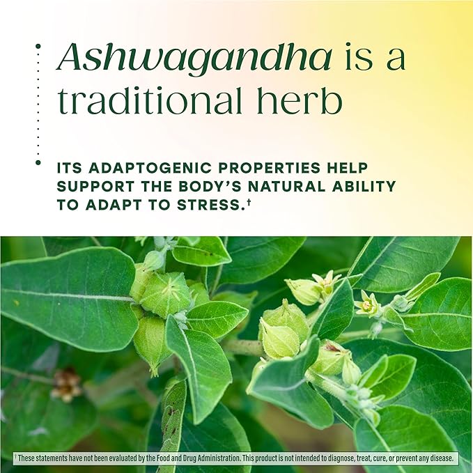 MegaFood Zero Sugar Ashwagandha Gummies - with Clinically Studied Ashwagandha KSM 66 - Cortisol Reducer & Stress Support - Mixed Berry Flavor, No Gelatin, Vegan - 60 Gummy Vitamins, 30 Servings