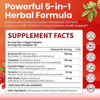 VEV Berberine Supplement with Ceylon Cinnamon, Cayenne Pepper, Turmeric, Milk Thistle, Vegan & Non-GMO – 120 Capsules