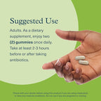 Youtheory Spore Probiotic Gummies - Supplement for Gut Health Support* - with Bacillus coagulans (is-2) - Supports Diarrhea Relief & Regular Bowel Movement* - Sugar Free - 60 Gummies (30-Day Supply)