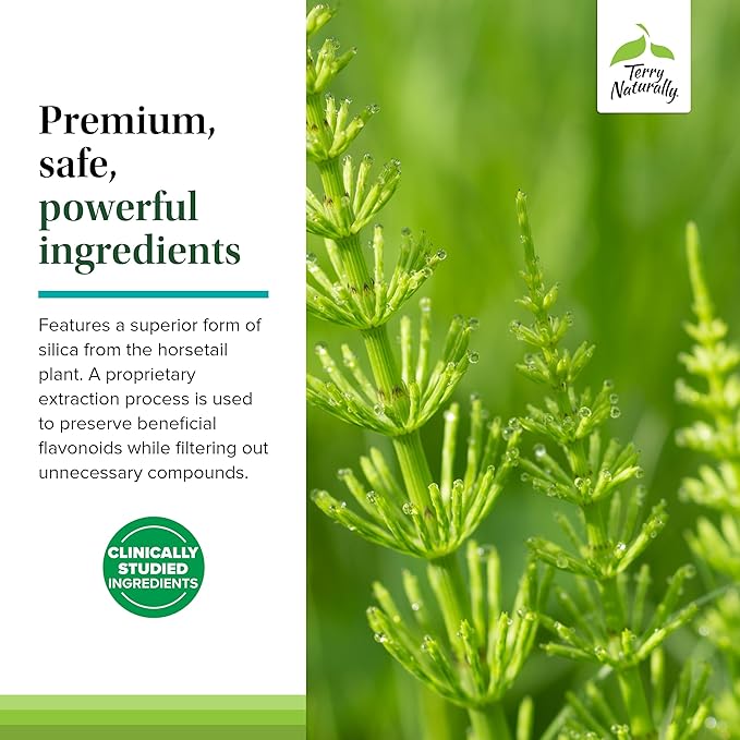 Terry Naturally Silica-20 - Support Hair Growth & Nail Strength - Collagen Supplement to Aid Bone Density & Strength - Skincare Supplement to Support Skin, Nail & Bone Health - 90 Tablets