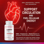 N.A.D.+ Longevity – Cardiovascular Support Supplement with NMN, NR, Resveratrol, Fisetin, Quercetin, TMG & Apigenin – Promote Healthy Heart Function & N.A.D.+ Levels – 60 Veggie Capsules