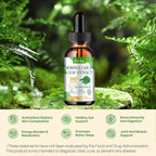 Moringa Leaf Extract Liquid Drops - Liquid Moringa Supplement 1000 mg with Turmeric, Quercetin, Elderberry, Sea Moss, Vitamin C & Zinc, for Energy Immune Antioxidant Digestive Support, 2 Fl Oz