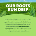Amazing Grass Greens Blend Superfood: Super Greens Powder Smoothie Mix with Spirulina, Chlorella, Beet Root Powder, Digestive Enzymes, Prebiotics & Probiotics, Original, 15 Servings (Packaging May Vary)