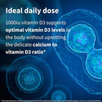 Igennus Natural Vegan Vitamin D3 1000IU, Clean Label, 365 Tablets, 100% Plant-Based Algae Cholecalciferol & Non-GMO, Immune, Bones & Teeth, 1-Year Supply