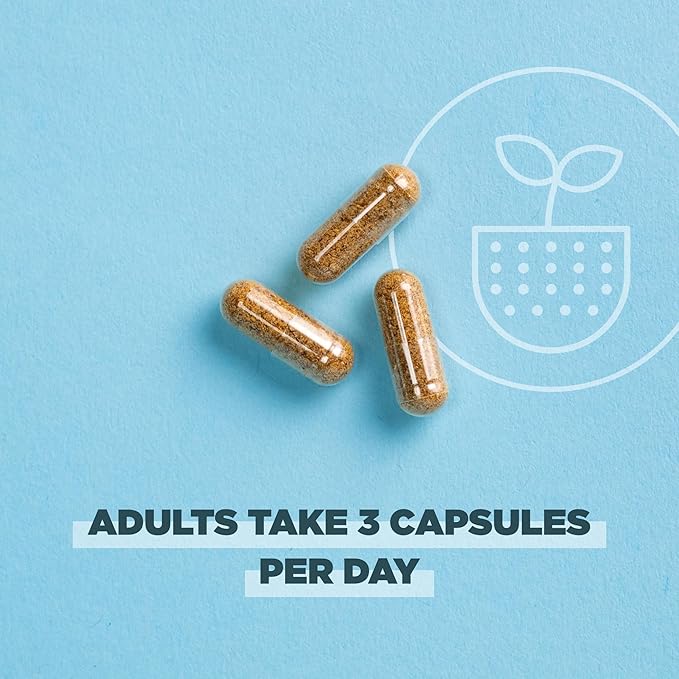 Ancient Nutrition Regenerative Organic Certified Turmeric Capsules, Once Daily, Use as a Joint Supplement and Supports Inflammation, Gluten Free, Paleo and Keto Friendly, 90 Count