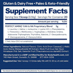 BodyHealth PerfectAmino - BCAA and EAA Powder for Pre and Post Workout - Amino Acid Energy Drink for Men and Women to Support Lean Muscle and Recovery - Mixed Berry - 20 Servings
